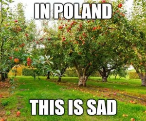 Angielskie śmieszki