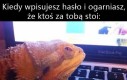 Mogę w czymś pomóc?