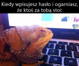Mogę w czymś pomóc?