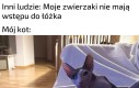 Jak to?