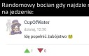 Bociek