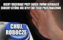 Przydadzą się
