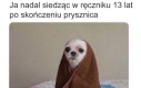 Tak bardzo zimno