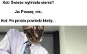 Nie krępuj się, mam tego całe tony