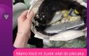 Czy ktoś ma ochotę na żurek?