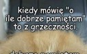 Grzeczność