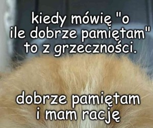 Grzeczność