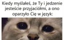 Zdrada