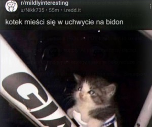 Pilne