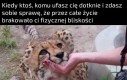 To jak zapach jedzenia dla głodującego