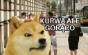 Zdecydujcie się narzekać na jedno, ok?