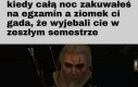 Szkoda