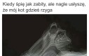 Zapewne na dywanie