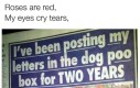 Definicja shitpostingu