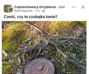 Ten chyba trujak