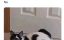 Nie