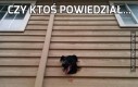 Czy ktoś powiedział...