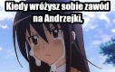 Animka nieprzypadkowa