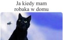 Puszek pomóż
