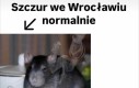 No to niezły kanał