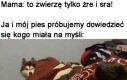 To trzeba na spokojnie poleżeć