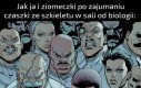 Ma dziurę, bo Karol był głodny