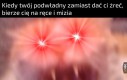 Daj żreć!