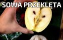 Odczarujcie ją!