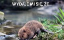 Wydaje mi się, że...