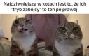 Ja chcę jeszcze raz