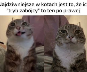 Ja chcę jeszcze raz