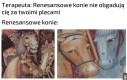 Renesansowe konie