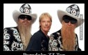 Paradoks ZZ Top