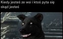 Pierdziszewo Dolne