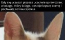 Dlaczego?