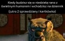 Paanie idź pan w..