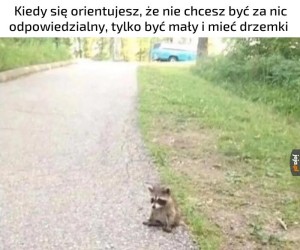 Tęsknię za prostymi czasami