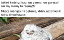 Idealne warunki do wzrostu