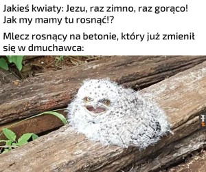 Idealne warunki do wzrostu