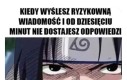 Lekki stresik jest