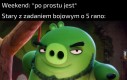 Oj tam nie marudź synu