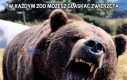 W każdym zoo możesz głaskać zwierzęta