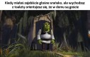 Wstyd trochę