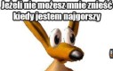 Lubie placki