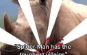 Wrogowie Spider-Mana