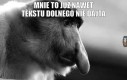Janusz