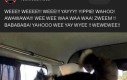 Typowe pies experience