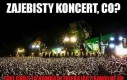 Kiedyś nieużywano do tego kombajnów