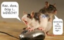 Mysz na ratunek myszce