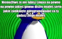 No weź spróbuj
